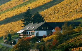 Weingut&Gästehaus Sonnenhof